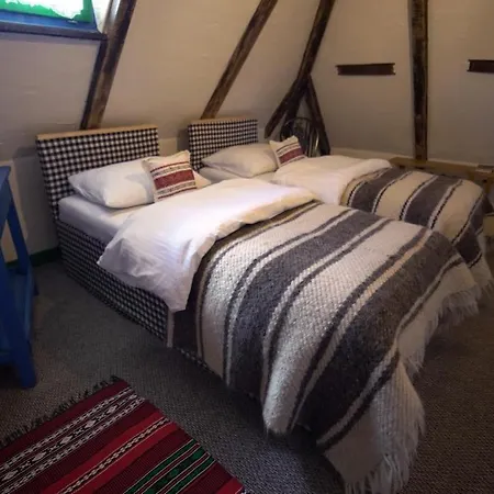 Iz De Maramures Rural Hotel (Adults Only) Surdesti  Exterior photo