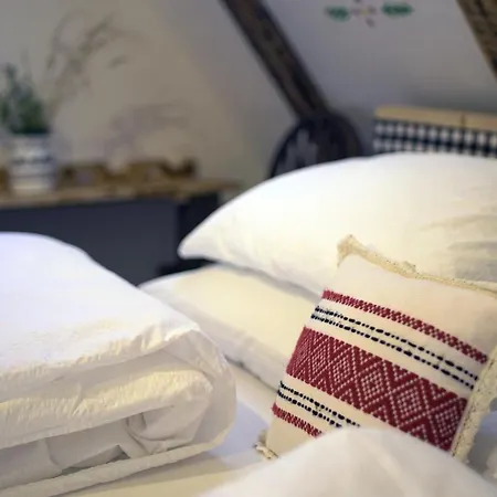 Iz De Maramures Rural Hotel (Adults Only) Surdesti  Exterior photo
