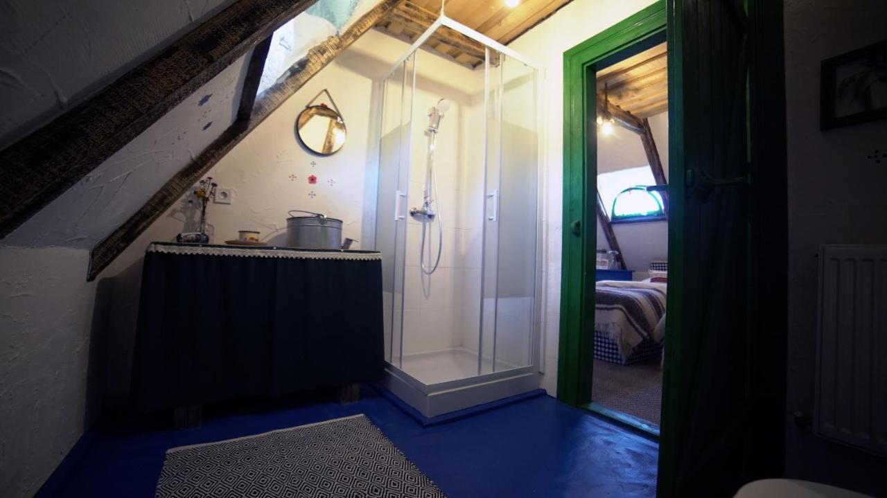 Iz De Maramures Rural (adults Only) Farm stay Surdesti (Maramures)