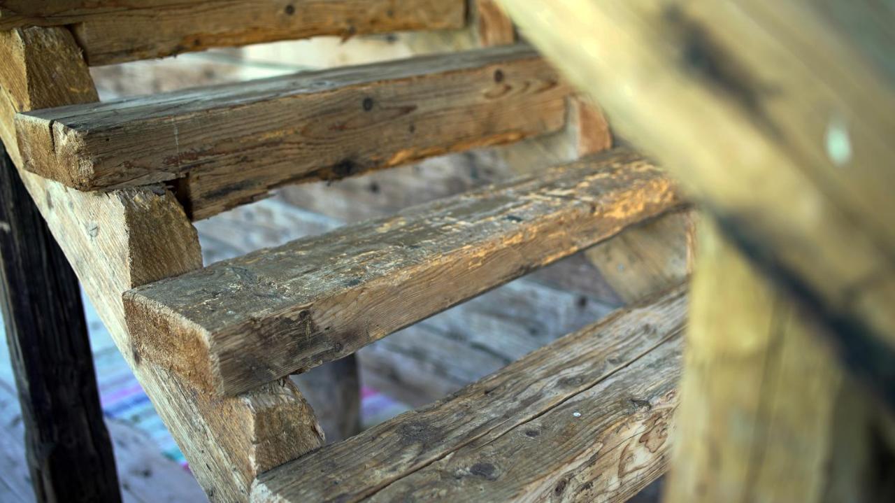 Iz De Maramures Rural (adults Only) Farm stay Surdesti (Maramures)