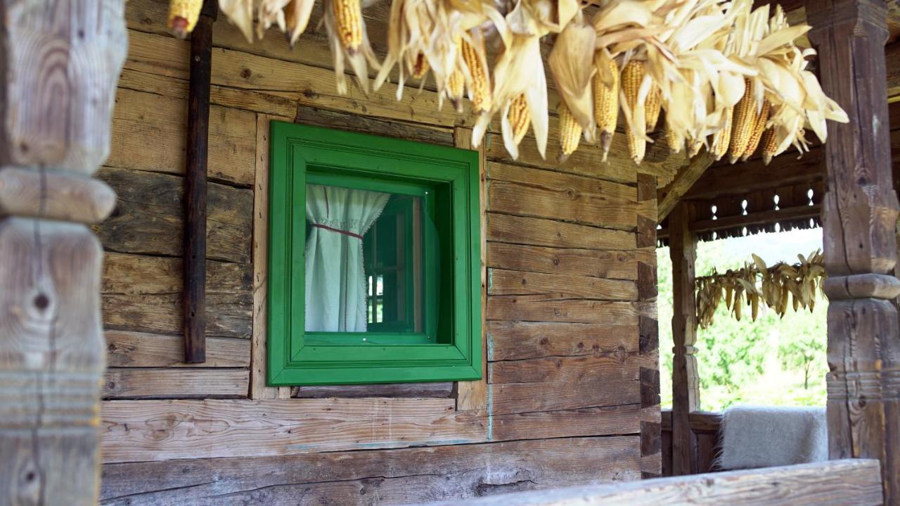 Farm stay Iz De Maramures Rural (adults Only) Surdesti (Maramures)