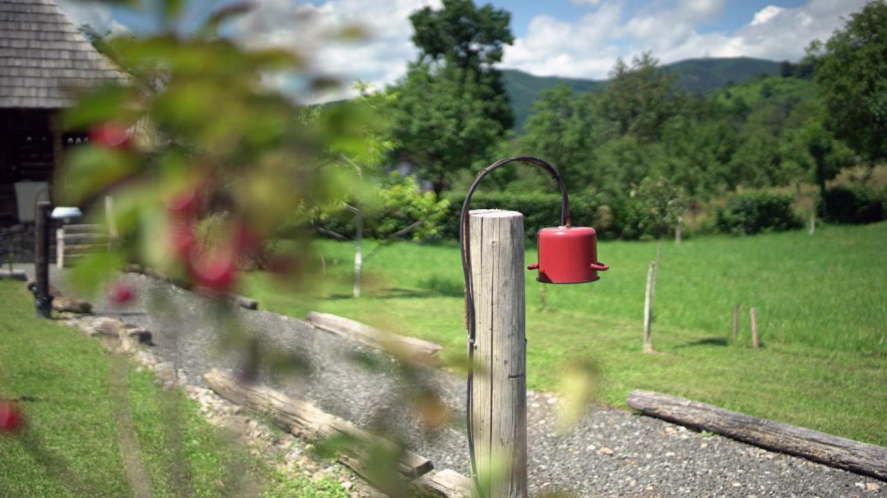 Farm stay Iz De Maramures Rural (adults Only)