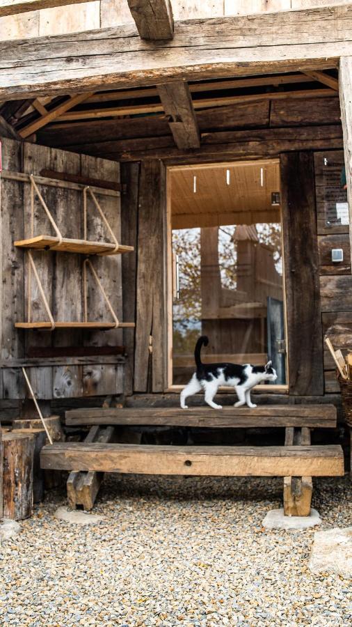 Iz De Maramures Rural (adults Only) * Surdesti (Maramures)