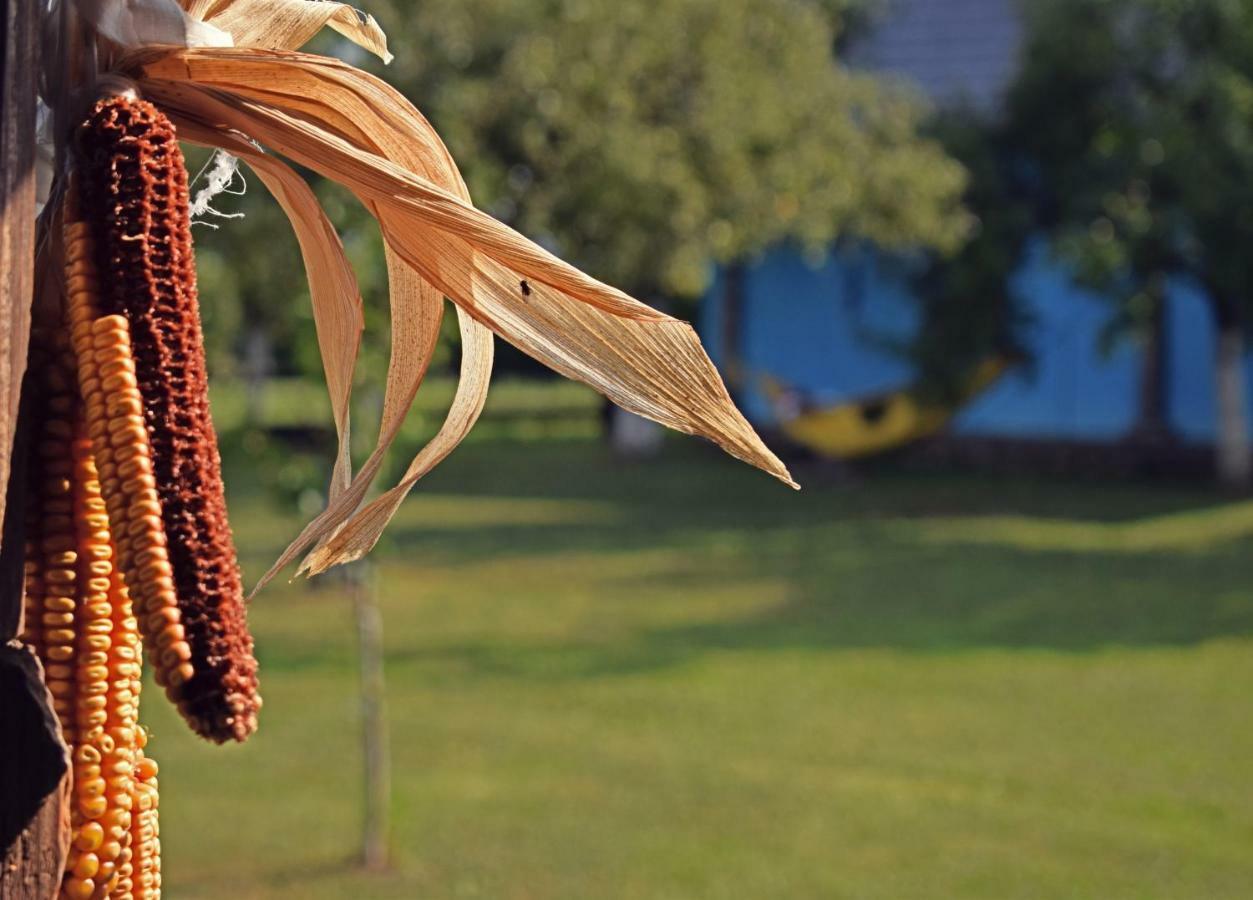 Farm stay Iz De Maramures Rural (adults Only) *